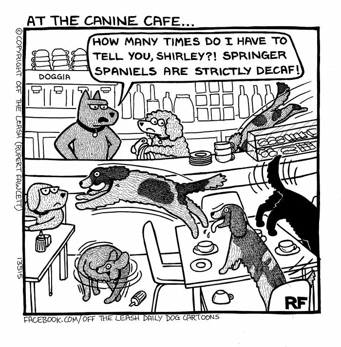 45 Relatable Comics About The Reality Of Owning A Dog From The Series “Off The Leash”