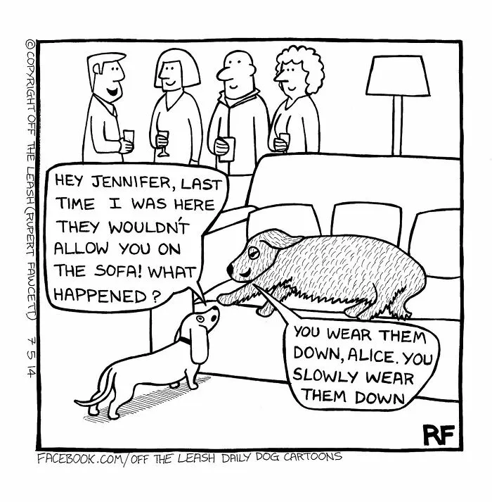 45 Relatable Comics About The Reality Of Owning A Dog From The Series “Off The Leash”