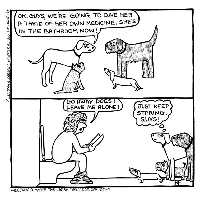 45 Relatable Comics About The Reality Of Owning A Dog From The Series “Off The Leash”
