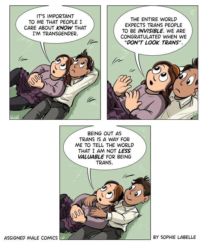 Artist Creates Insightful Comics To Foster Acceptance Of Transgender Experiences (30 Pics)