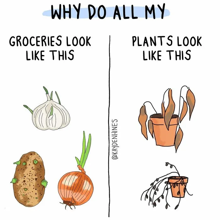 30 Illustrations By Clare Kayden Hines That Hilariously Sum Up The Struggles Of Adult Life (New Pics)
