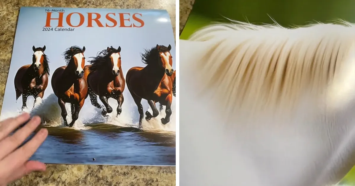 Esta mujer se compró un calendario con fotos de caballos, pero resultó ser demasiado extraño