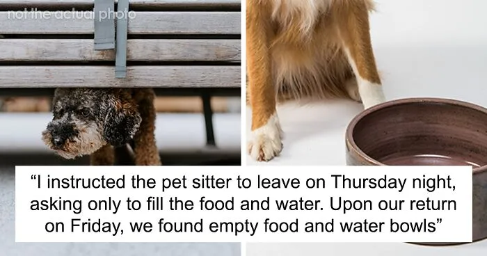 Hey Pandas, AITA For Being Insensitive Towards A Pet Sitter That Did A Bad Job?