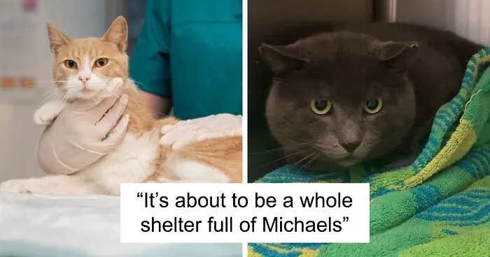 “Some Things Shouldn’t Breed”: Animal Shelter Promotes A Hilarious Valentine’s Day Campaign