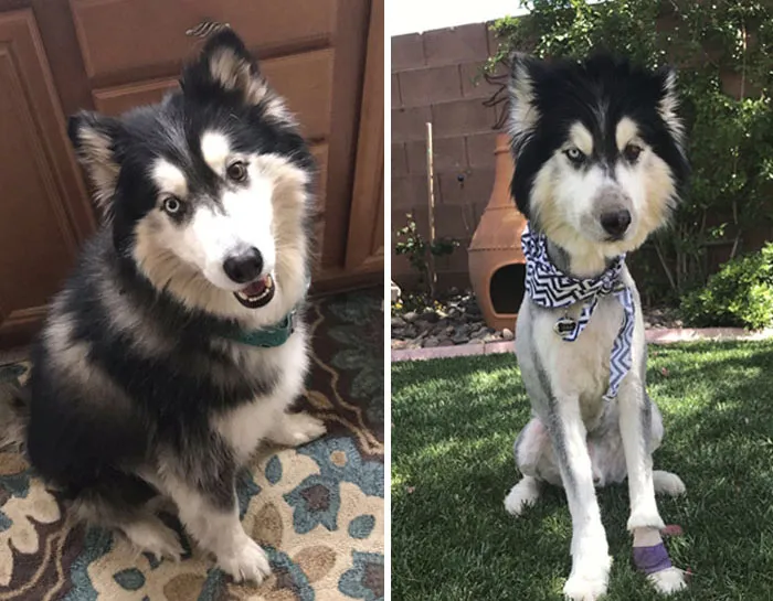 He Went From Happy To Really Mad