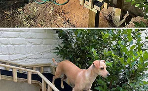 38 Times Dogs Deserved Only The Best Dog Houses And People Accepted The Challenge
