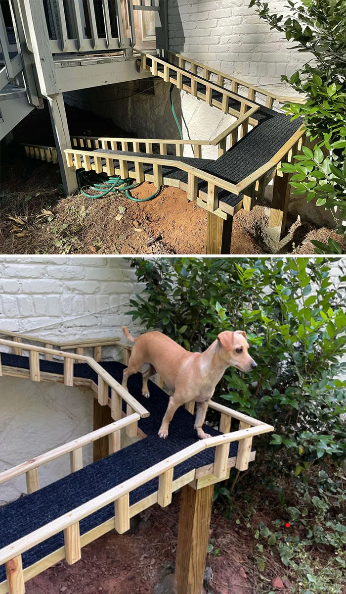 A Buddy no se le dan bien las escaleras y sus dueños me pidieron que le hiciera una rampa