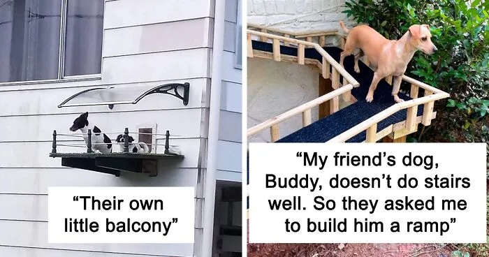 38 Times Dogs Deserved Only The Best Dog Houses And People Accepted The Challenge