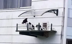 38 Times Dogs Deserved Only The Best Dog Houses And People Accepted The Challenge