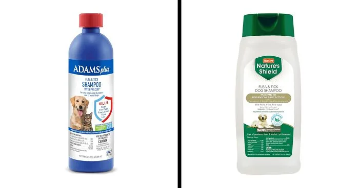 Top 10 Flea and Tick Shampoos for Dogs | Keep Your Pet Free of Fleas