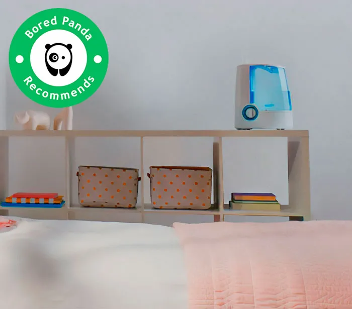 #1 Vicks Warm Mist Humidifier