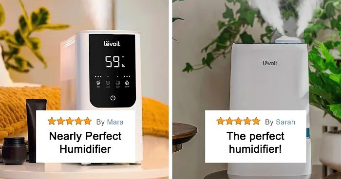 Best Humidifier In 2024 Ranked By People's Reviews