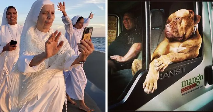 The Best Photographs Of All Time From Annual Mobile Photo Awards Have Been Announced (30 Pics)