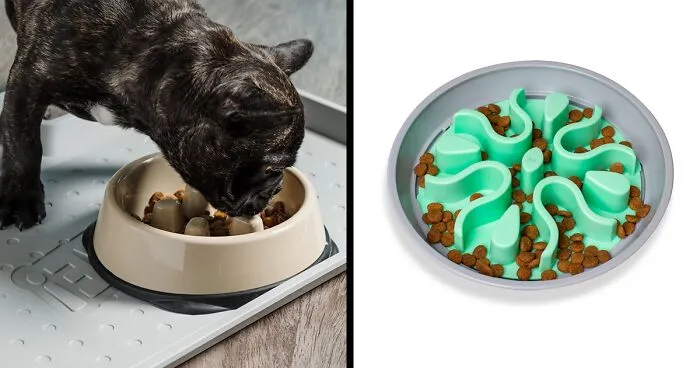 Top 10 Slow Feeder Dog Bowls for Healthier Eating - 2024 Reviews & Ratings
