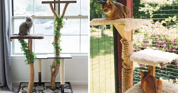 Build an Amazing DIY Cat Tree Tower: 7 Free Plans and Ideas