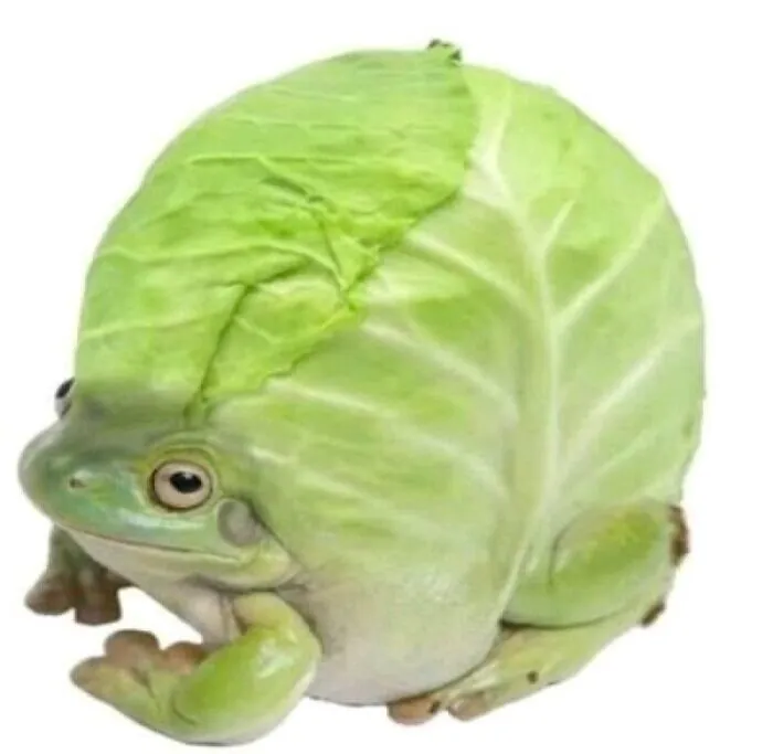 Cabbage Frog