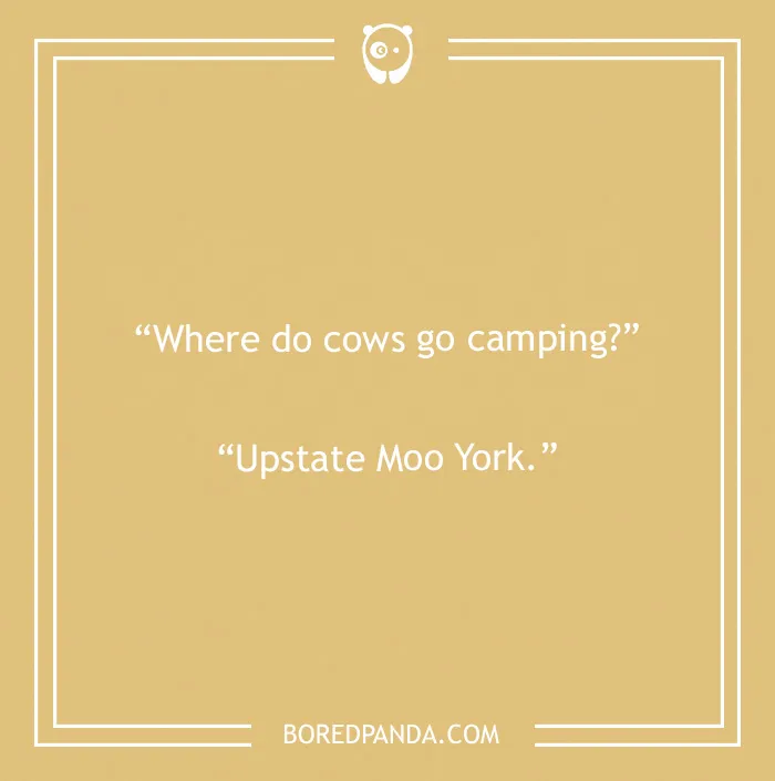 150 Camping Jokes That Are A Real Wild Ride