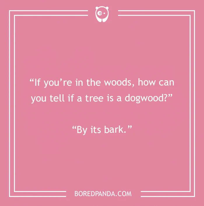 A pink background with white text, a funny camping joke asking how to identify a dogwood tree.