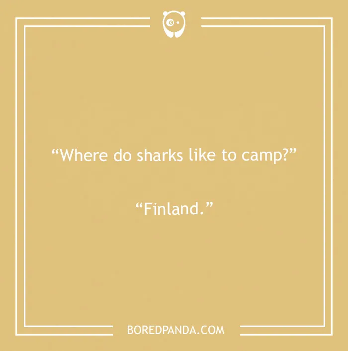 A camping joke: Where do sharks like to camp? Finland. A funny image for camping enthusiasts.