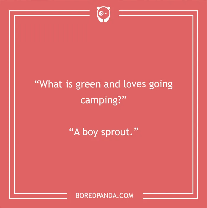 Camping joke: What is green and loves going camping? A boy sprout. A wild ride of camping jokes.