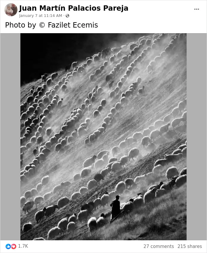"No Ordinary Eyes": 30 Amazing Moments Captured In Photography