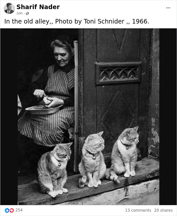 "No Ordinary Eyes": 30 Amazing Moments Captured In Photography