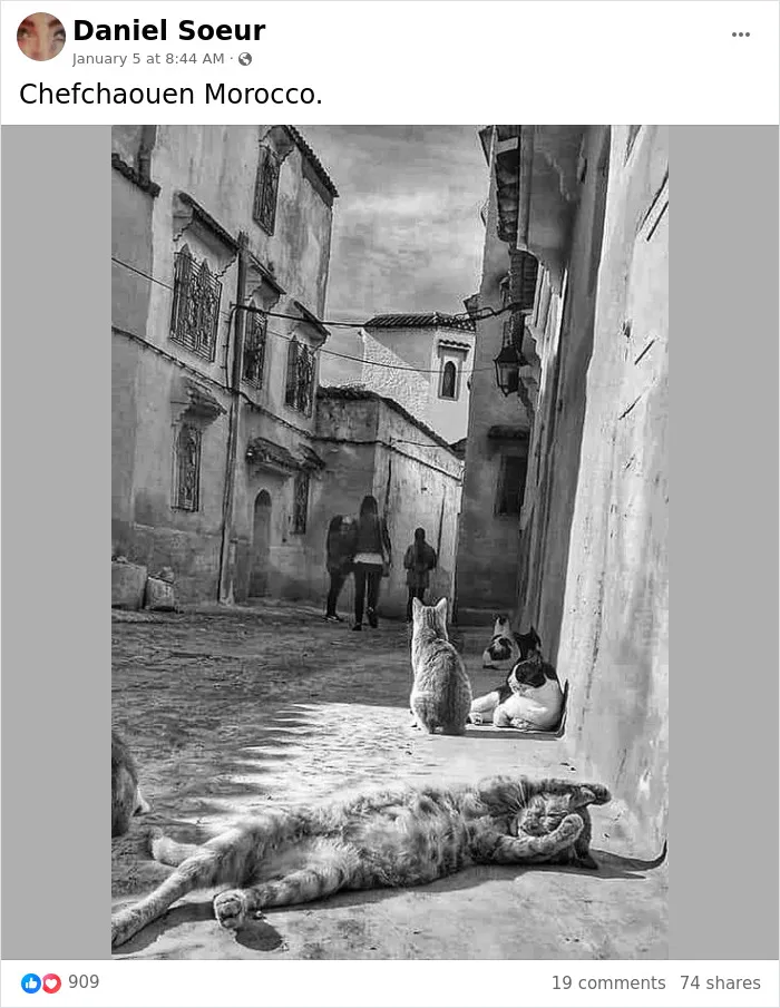 "No Ordinary Eyes": 30 Amazing Moments Captured In Photography