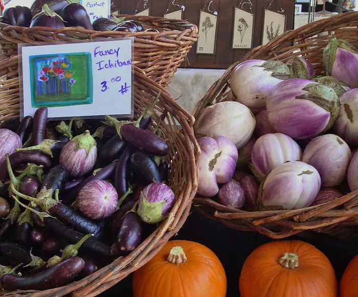 40 Cheaper Options People Have Realized They Actually Prefer To The More Expensive Alternatives