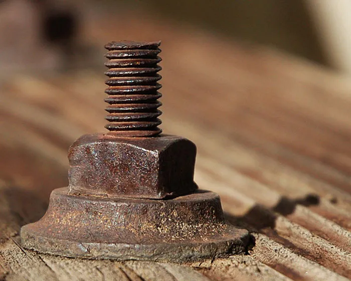 Someone Asked Folks To Share The Best Fact They’ve Ever Heard, Here Are The 35 Most Interesting