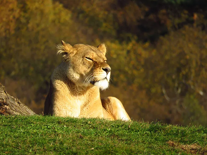 Someone Asked Folks To Share The Best Fact They’ve Ever Heard, Here Are The 35 Most Interesting