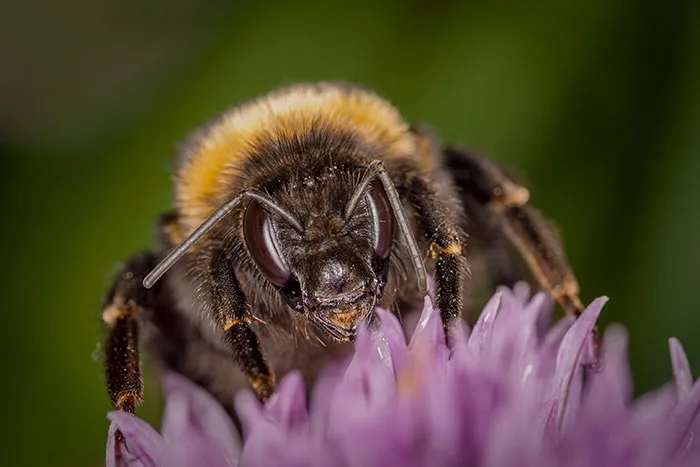 Someone Asked Folks To Share The Best Fact They’ve Ever Heard, Here Are The 35 Most Interesting