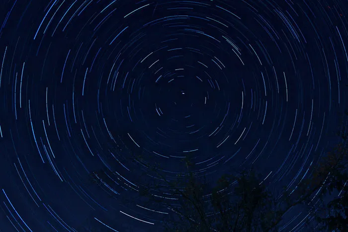 Someone Asked Folks To Share The Best Fact They’ve Ever Heard, Here Are The 35 Most Interesting