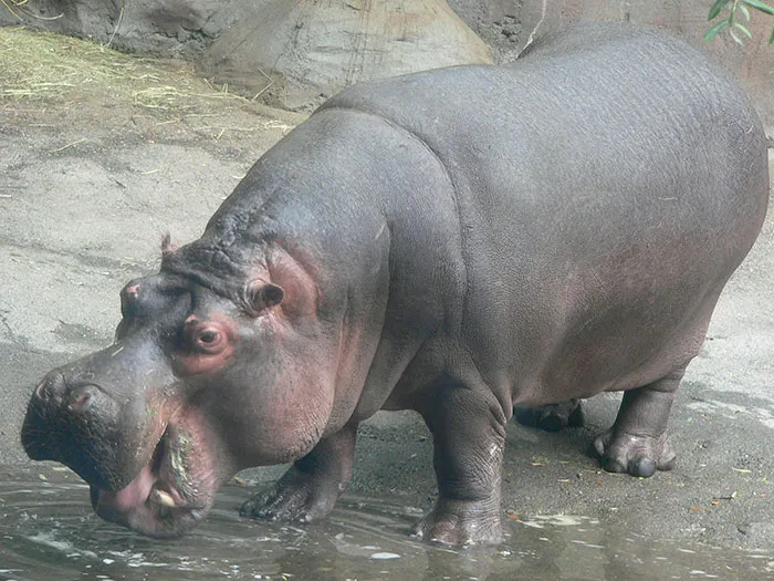 Someone Asked Folks To Share The Best Fact They’ve Ever Heard, Here Are The 35 Most Interesting