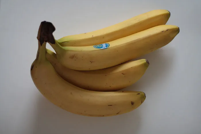 Someone Asked Folks To Share The Best Fact They’ve Ever Heard, Here Are The 35 Most Interesting