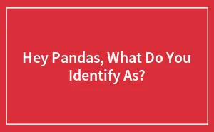 Hey Pandas, What Do You Identify As? (Closed)