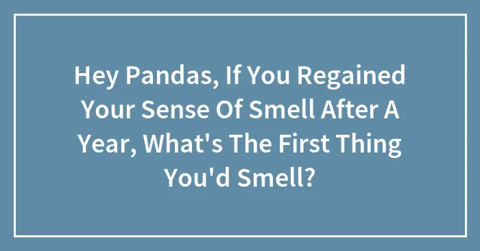Hey Pandas, If You Regained Your Sense Of Smell After A Year, What's The First Thing You'd Smell? (Closed)