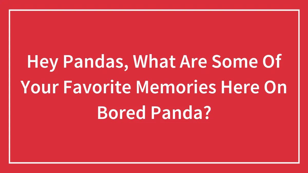 Hey Pandas, What Are Some Of Your Favorite Memories Here On Bored Panda? (Closed)