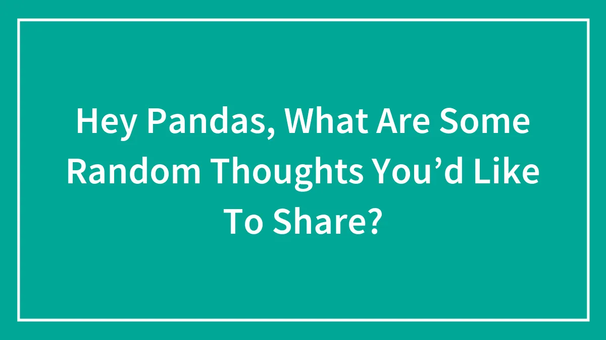 Hey Pandas, What Are Some Random Thoughts You’d Like To Share? (Closed)