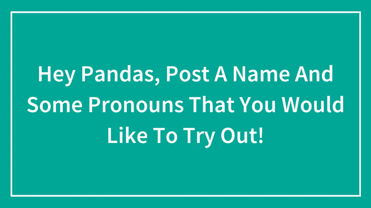 Hey Pandas, Post A Name And Some Pronouns That You Would Like To Try Out!