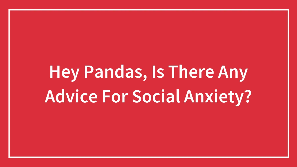 Hey Pandas, Is There Any Advice For Social Anxiety? (Closed)