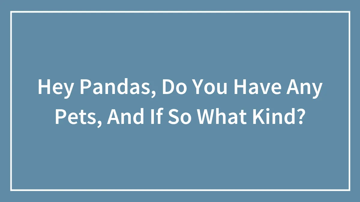 Hey Pandas, Do You Have Any Pets, And If So What Kind? (Closed)