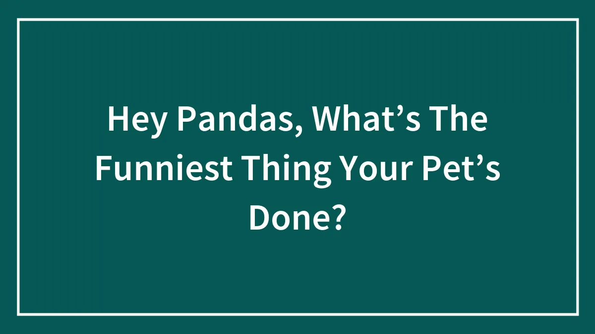 Hey Pandas, What’s The Funniest Thing Your Pet’s Done? (Closed)