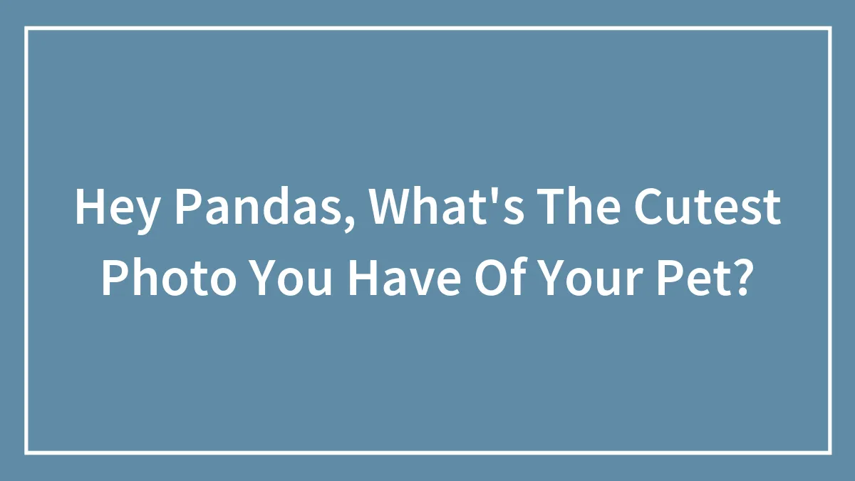 Hey Pandas, What's The Cutest Photo You Have Of Your Pet?