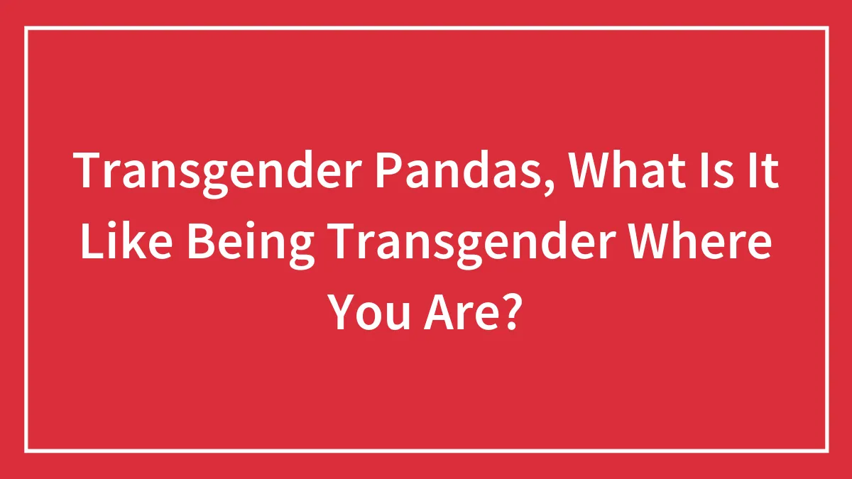 Transgender Pandas, What Is It Like Being Transgender Where You Are?