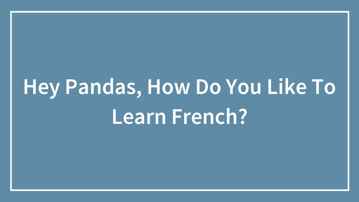 Hey Pandas, How Do You Like To Learn French? (Closed)