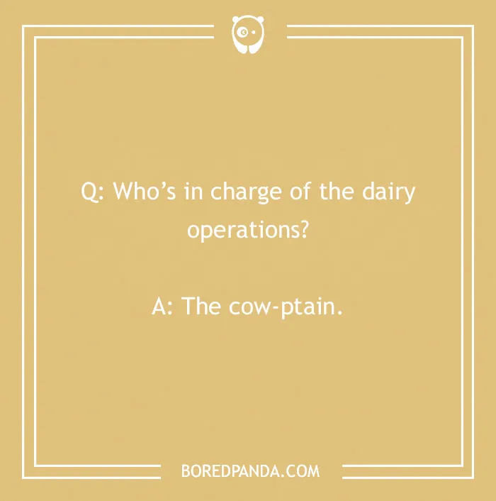 123 Udderly A-moo-sing Cow Jokes
