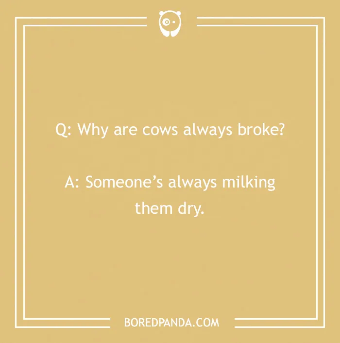 123 Udderly A-moo-sing Cow Jokes