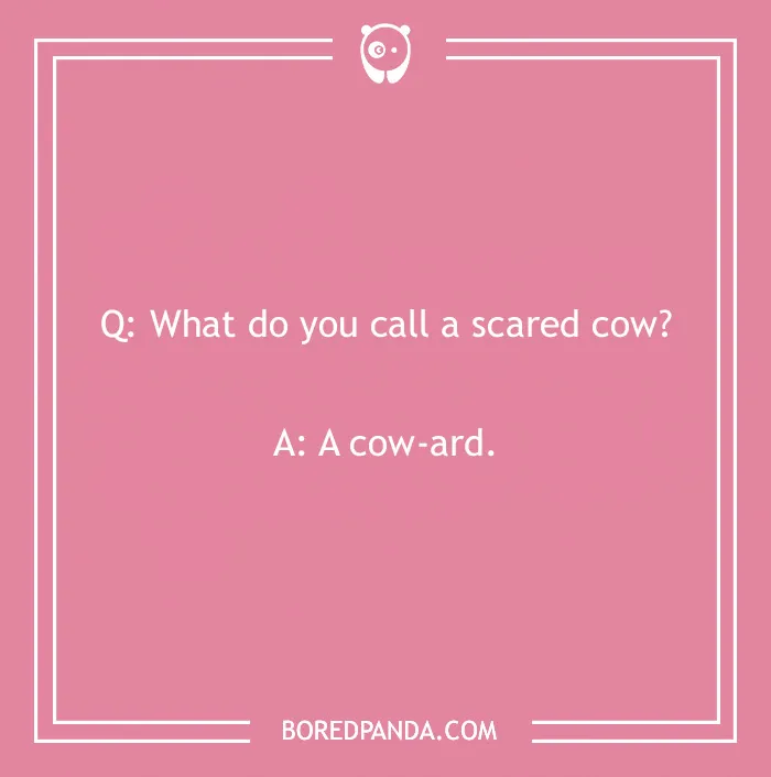 123 Udderly A-moo-sing Cow Jokes