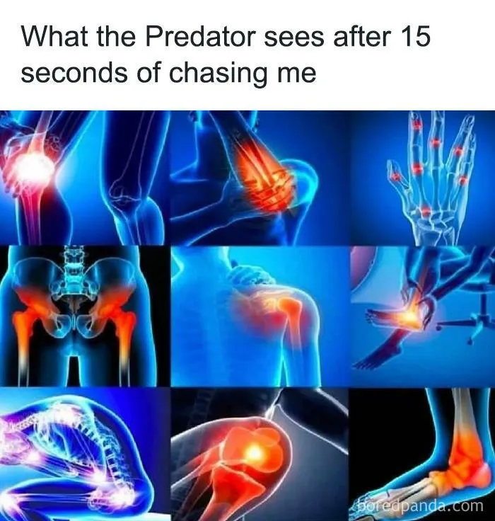 50 Hilarious Memes To Help You Better Express How You’re Feeling Today