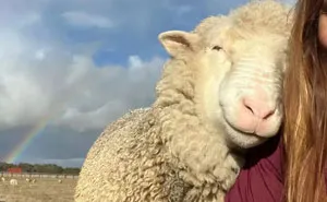 40 Animales adorables para alegrarte el día (nuevas fotos)